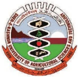 logo (11)