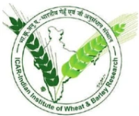 logo (13)