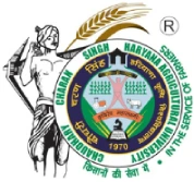 logo (16)
