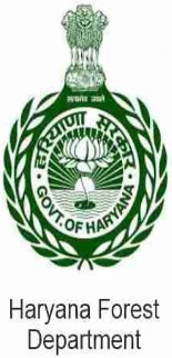logo (34)